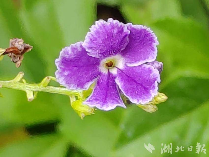 云顶集团登录